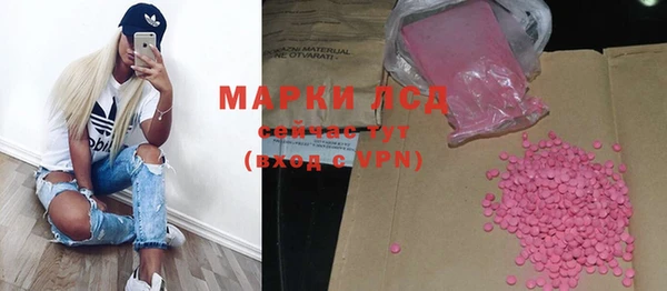 прущие грибы Балахна