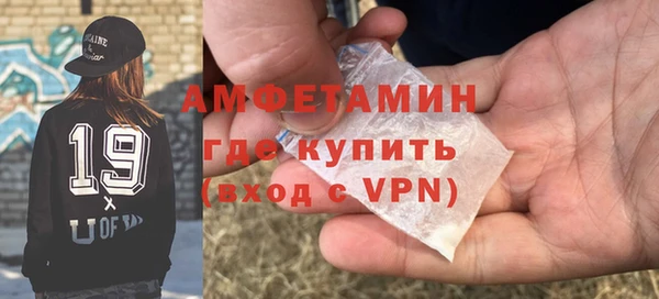 прущие грибы Балахна