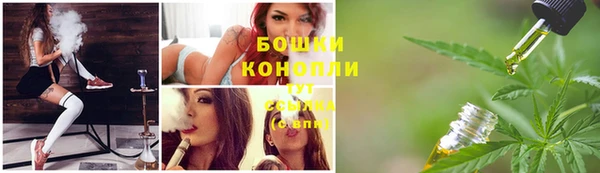 прущие грибы Балахна