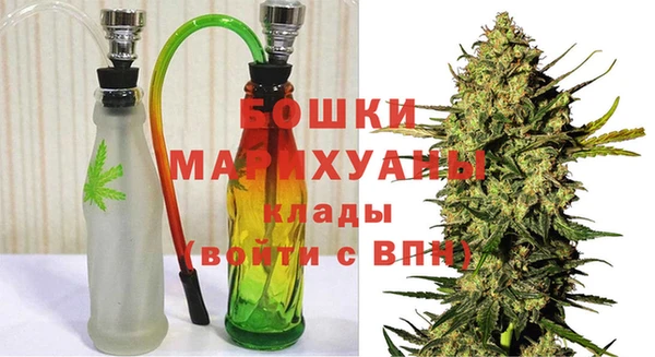 прущие грибы Балахна