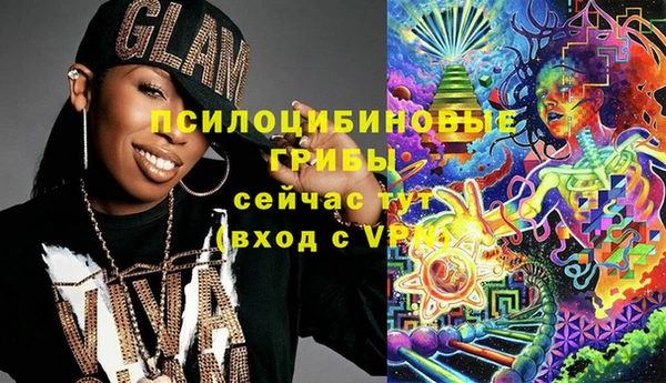 прущие грибы Балахна