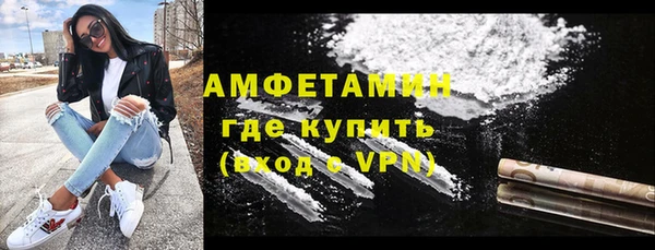 прущие грибы Балахна