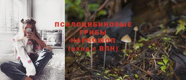 мдпв Баксан