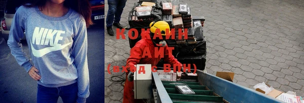 прущие грибы Балахна