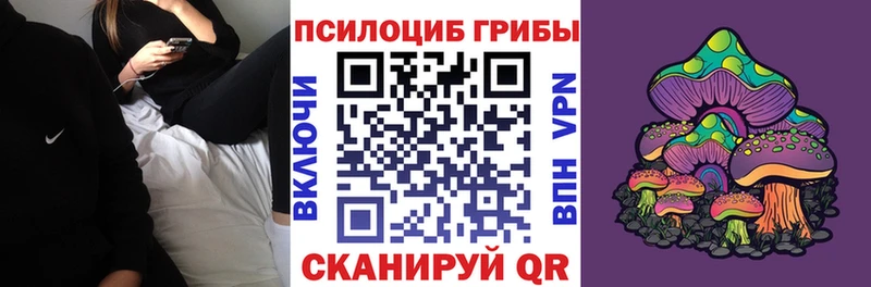 Галлюциногенные грибы Psilocybine cubensis Высоковск